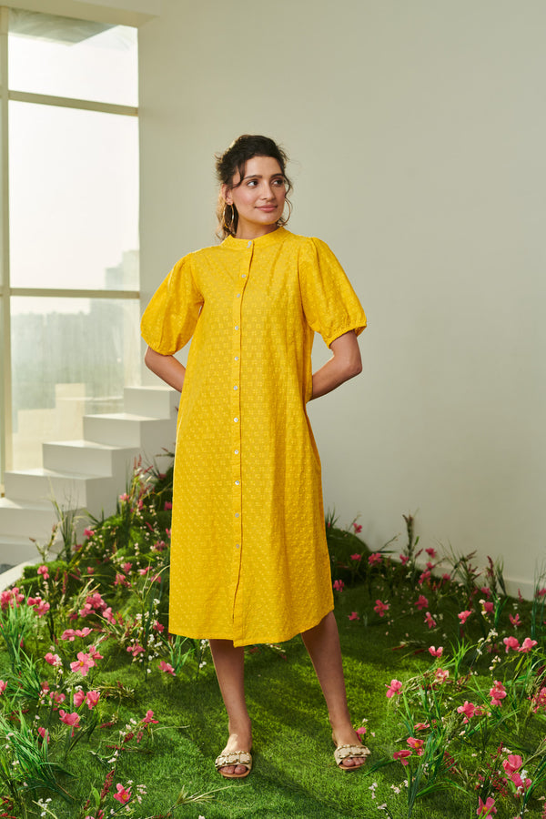 Zyla Long Dress