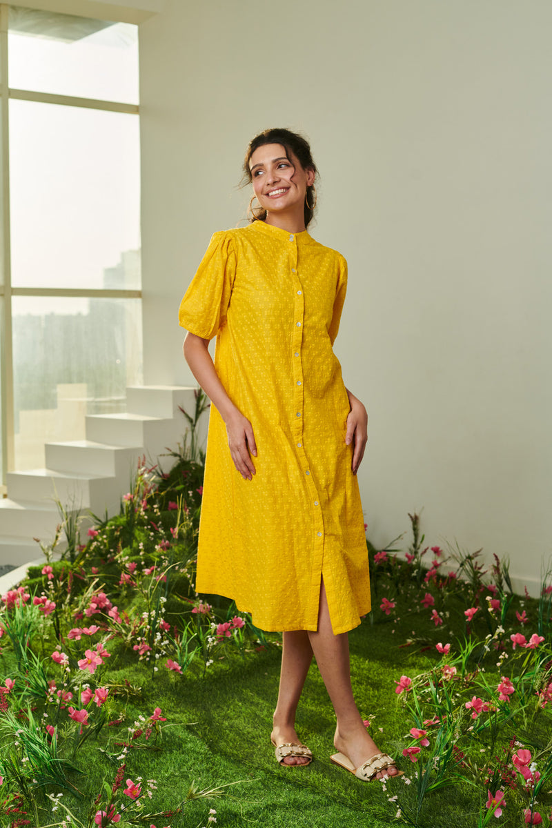 Zyla Long Dress